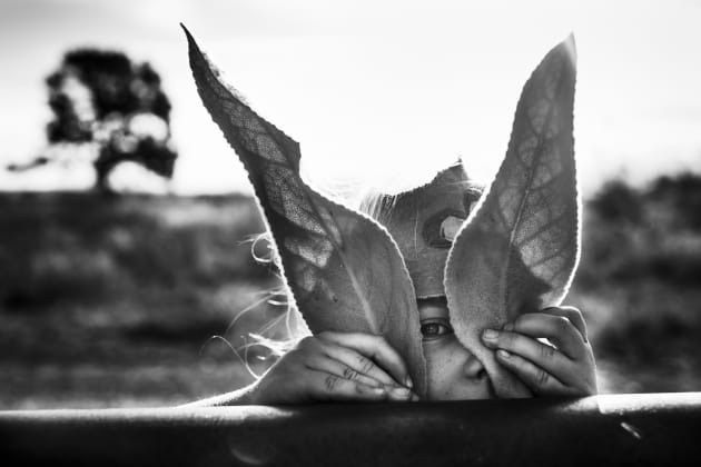 &copy; Niki Boon